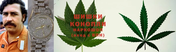 крисы Щучье