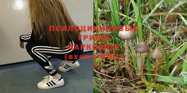 альфа пвп Покачи