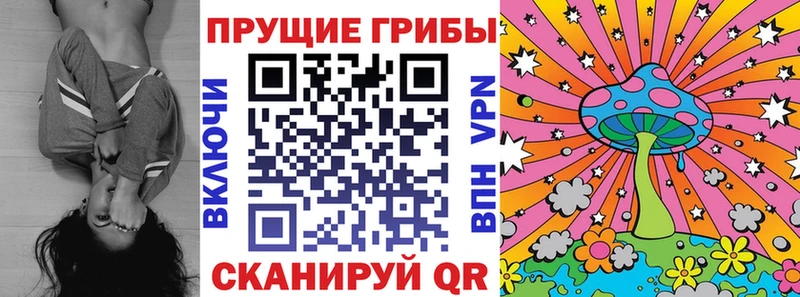 Псилоцибиновые грибы MAGIC MUSHROOMS  ОМГ ОМГ tor  Рыбное 