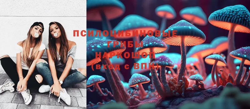 Псилоцибиновые грибы Psilocybe  Рыбное 